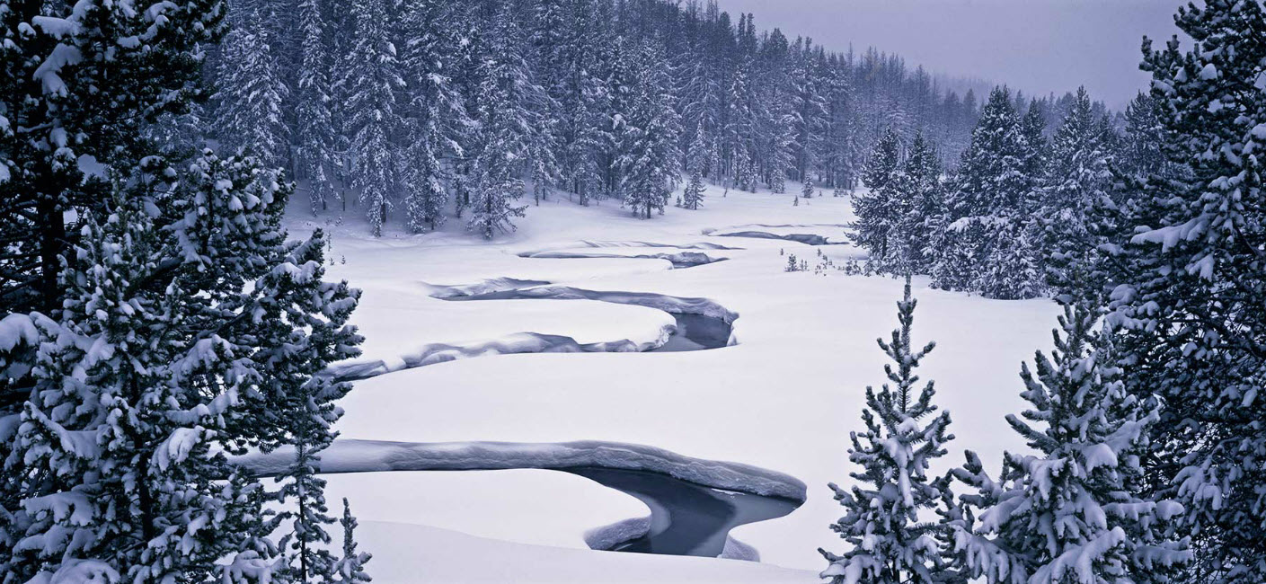 river winding through snow in Yellow Stone National Park with tall trees in the background, photography workshops, flip chalfant, yellowstone, snow, landscape photography