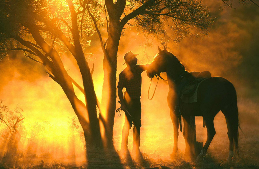 Flip Chalfant, Australia, Horses, Backlighting, Photography Workshops, Fisheye Connect