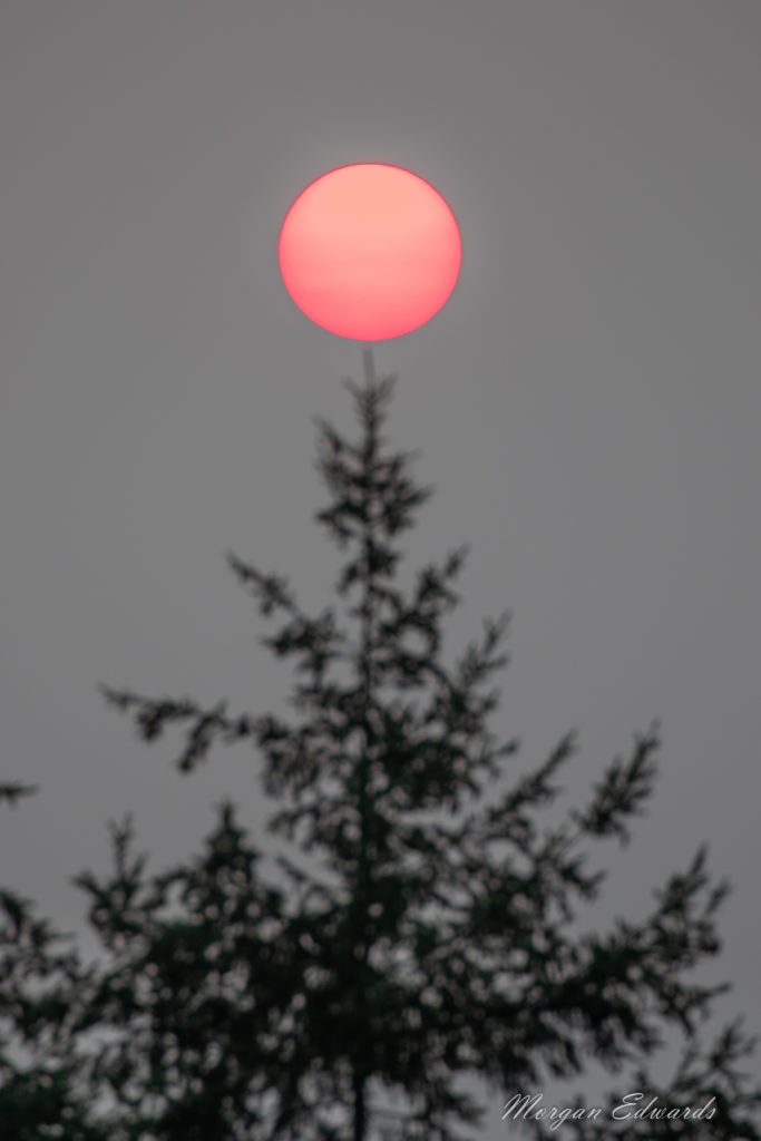 Morgan Edwards, Wildfire Sunset, Fisheye Connect, Photography Workshops, Landscape Photography, Nikon