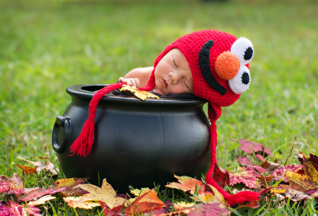 fisheye connect, halloween baby, newborn photography atlanta, posing newborns, moreland photography, elmo costume, baby in cauldron