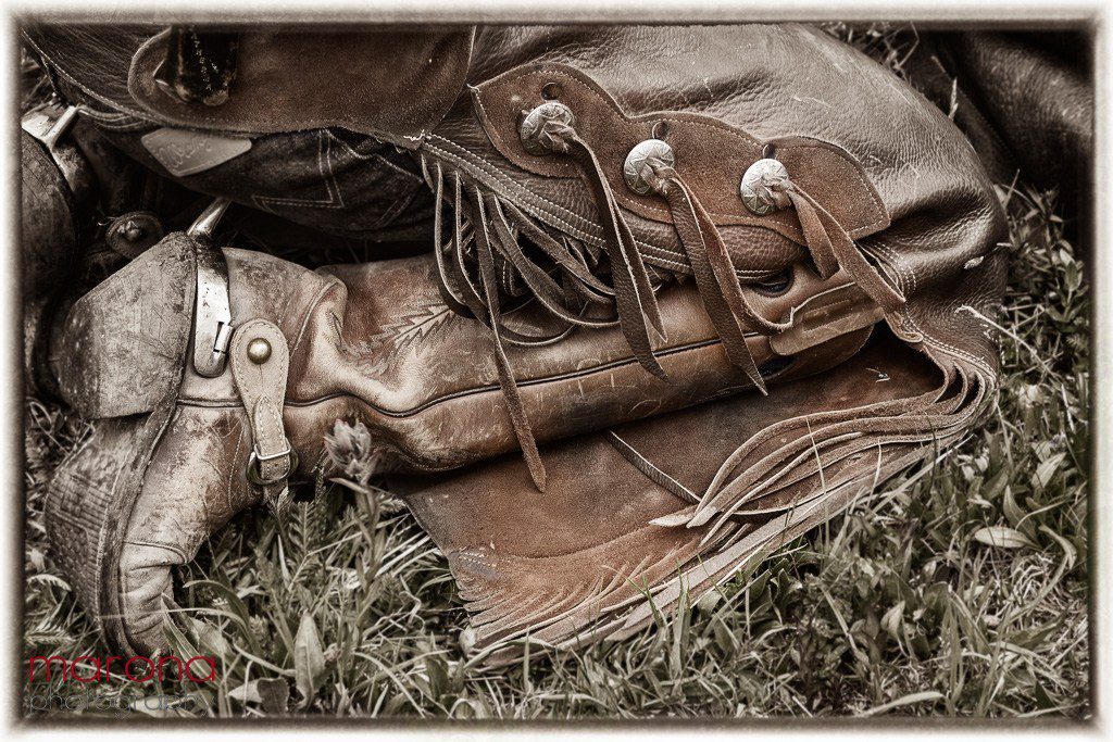 cowboy photography, cowboys, horses, american folk photography, wildlife photography, wildlife photographer, photography workshop